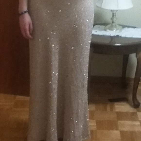 Sparkly Blush Gown - Picture 9 of 9